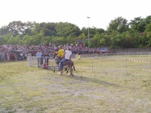 Palio 2006